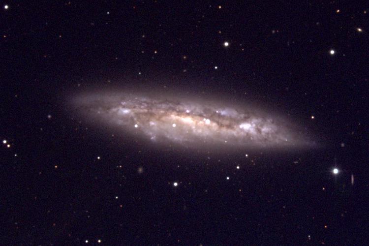 M 108 (NGC 3556)